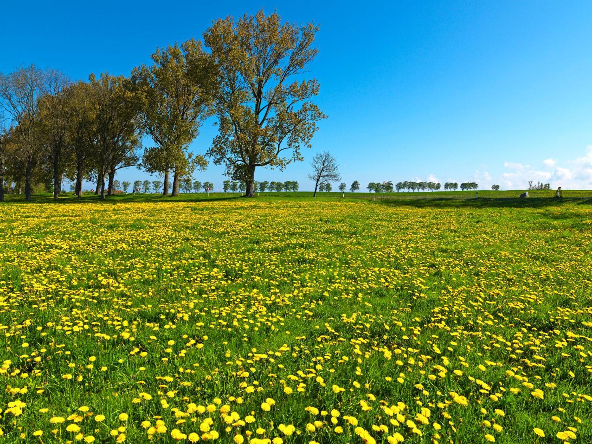 Haus Gestrandet Kaltenhof ภายนอก รูปภาพ