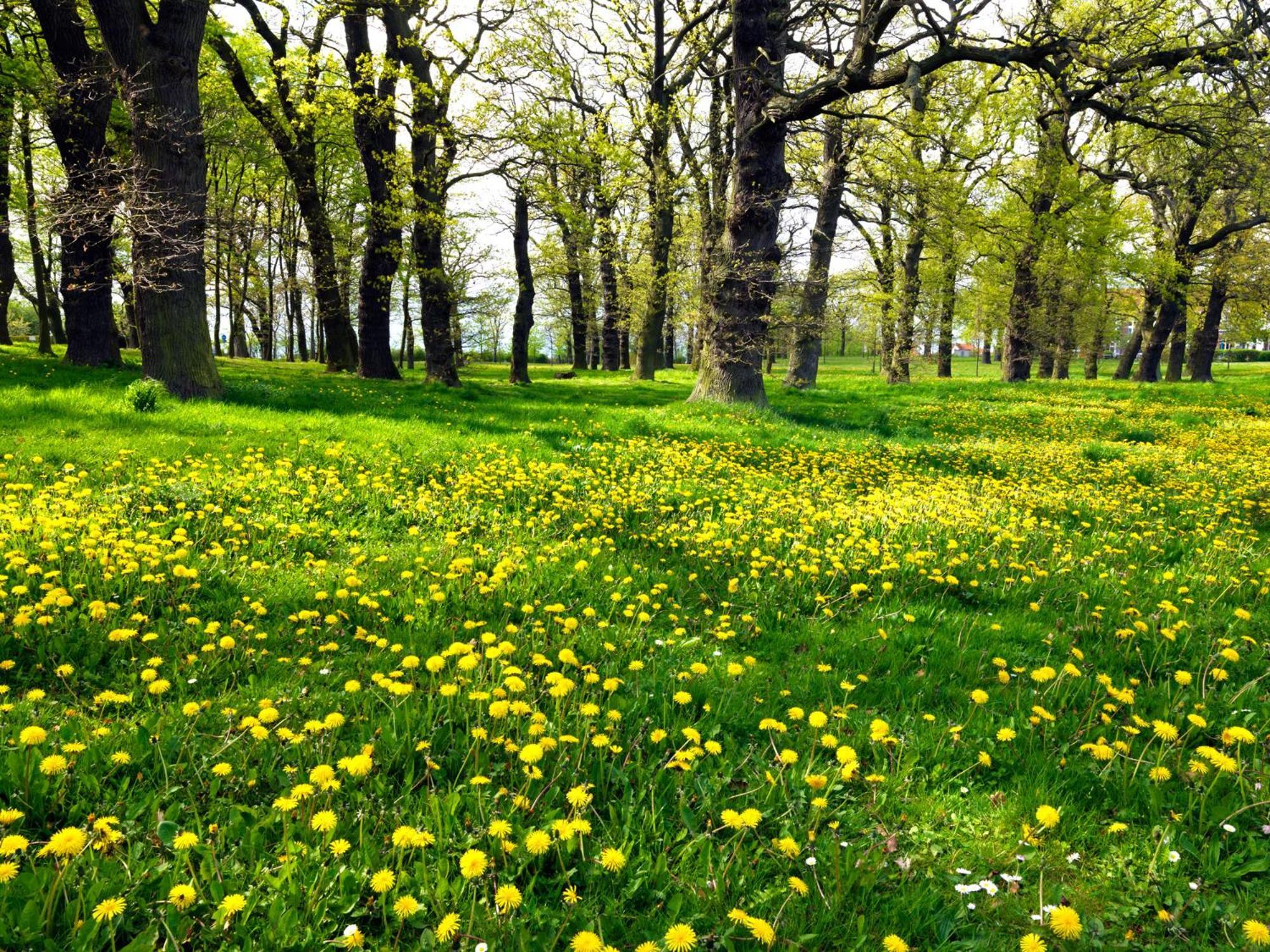 Haus Gestrandet Kaltenhof ภายนอก รูปภาพ